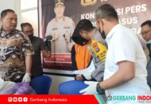 Polda NTB Amankan 1,7 Kg Ganja di Lombok Timur, Tersangka Bilang Untungnya Menggiurkan