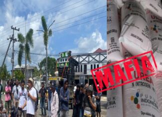 Mafia Pupuk Kembali Muncul, Dinas Dicurigai Ikut Andil