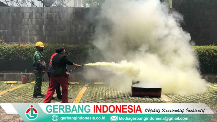 Picsart_25-02-06_15-24-05-806_11zon