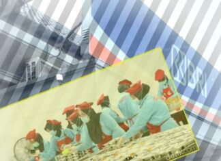 BRI Dianggap Lalai dan Ancam Program Presiden Prabowo