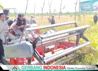 Loteng Unjuk Ketangguhan Jadi Lumbung Pangan Nasional