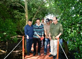 Destinasi Mangrove Sambalia Diperkenalkan, Lombok Timur Perkuat Wisata Berbasis Konservasi