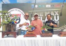 Daftar Lengkap Jawara Teratas Pameran dan Kontes Bonsai Nasional The Max Indonesia 2026