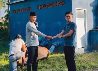 Bupati Lotim Salurkan Kurban Idul Adha, Direktur PDAM Bagikan Daging Sapi di Kembang Kuning