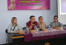 Lonjakan Anjing Liar Jadi Sorotan, Lombok Timur Siapkan Langkah Pengendalian Berbasis Sterilisasi