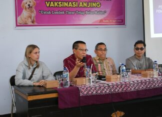 Lonjakan Anjing Liar Jadi Sorotan, Lombok Timur Siapkan Langkah Pengendalian Berbasis Sterilisasi