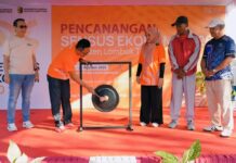 Sensus Ekonomi 2026 Dimulai di Lombok Timur, Pemda Tekankan Pentingnya Data Akurat