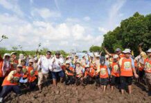PLN Icon Plus Kenalkan Pelestarian Pesisir kepada Generasi Muda melalui Penanaman Mangrove