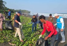 PLN Icon Plus Hadirkan Iconnectivity for Green untuk Lestarikan Pesisir Pangandaran