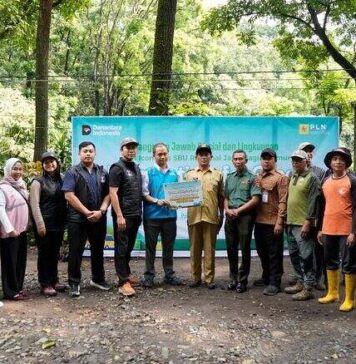 PLN Icon Plus Laksanakan Reforestasi di Kaki Gunung Arjuno–Welirang