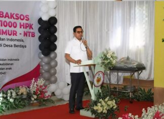 HUT ke-75 IBI di Lombok Timur, Bidan Teguhkan Komitmen Wujudkan Kesehatan Ibu dan Anak Berkualitas