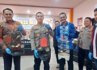 Polresta Mataram Gulung 56 Bandit Jalanan, Ratusan Barang Bukti Disita!