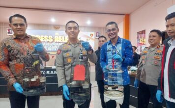Polresta Mataram Gulung 56 Bandit Jalanan, Ratusan Barang Bukti Disita!
