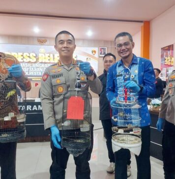 Polresta Mataram Gulung 56 Bandit Jalanan, Ratusan Barang Bukti Disita!