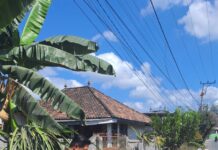 Temukan Jalan Berlubang Saat Melintas, Bupati Lombok Timur Langsung Perintahkan PUPR Cek Lokasi