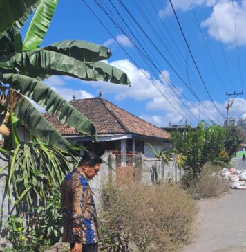 Temukan Jalan Berlubang Saat Melintas, Bupati Lombok Timur Langsung Perintahkan PUPR Cek Lokasi
