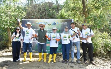 Peringati Hari Mangrove Sedunia dan HUT ke-62, Bank NTB Syariah Tanam Mangrove di Kawasan Ekowisata Paremas