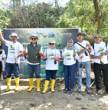 Peringati Hari Mangrove Sedunia dan HUT ke-62, Bank NTB Syariah Tanam Mangrove di Kawasan Ekowisata Paremas