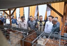 Dukung Program Desa Berdaya NTB, Bank NTB Syariah Salurkan Bantuan Budidaya Ayam Petelur untuk Masyarakat Desa Lendang Nangka Utara
