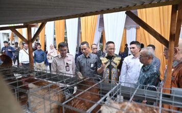 Dukung Program Desa Berdaya NTB, Bank NTB Syariah Salurkan Bantuan Budidaya Ayam Petelur untuk Masyarakat Desa Lendang Nangka Utara