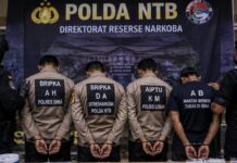 Terseret Kasus Narkoba, Oknum Anggota Polres Lombok Barat Terancam PTDH
