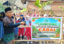 Gerakan Menanam Cabai Digencarkan di 24 Sekolah Lombok Barat, Siswa Belajar Bertanggung Jawab hingga Panen