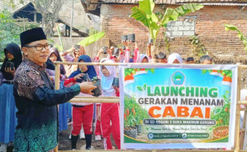 Gerakan Menanam Cabai Digencarkan di 24 Sekolah Lombok Barat, Siswa Belajar Bertanggung Jawab hingga Panen