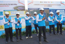 Sinergi PLN Group, PLN Icon Plus Dukung Percepatan Program PLTS 100 GWp