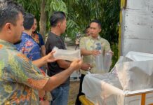 Melintas di Tol Banten, Truk Bawa 150 Ribu Benih Lobster Digagalkan Polisi