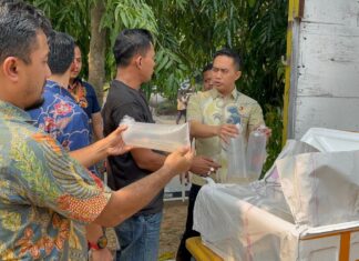 Melintas di Tol Banten, Truk Bawa 150 Ribu Benih Lobster Digagalkan Polisi