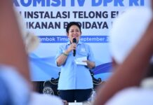 DPR RI Bidik Masa Depan Lobster di Lotim, Nelayan Minta KJA hingga Modal Diperkuat