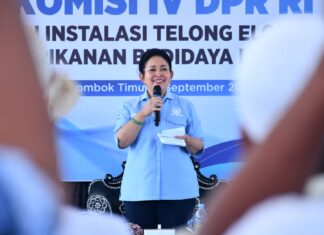 DPR RI Bidik Masa Depan Lobster di Lotim, Nelayan Minta KJA hingga Modal Diperkuat