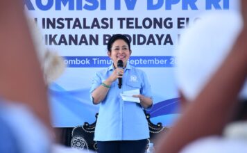 DPR RI Bidik Masa Depan Lobster di Lotim, Nelayan Minta KJA hingga Modal Diperkuat