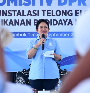 DPR RI Bidik Masa Depan Lobster di Lotim, Nelayan Minta KJA hingga Modal Diperkuat