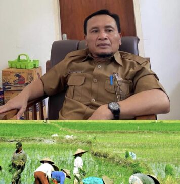 Jelang Musim Tanam, Distan Lotim Siapkan Strategi Hadapi Ancaman Kekurangan Air