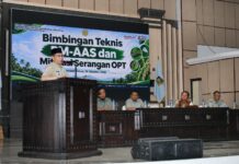 Produktivitas Padi NTB Dibidik Tembus 7 Ton per Hektare, Penyuluh Diperkuat Lewat PM-AAS